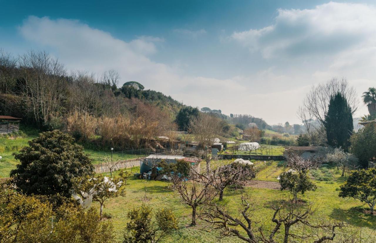 B&B Il Giardino Di Gabri Roma Dış mekan fotoğraf