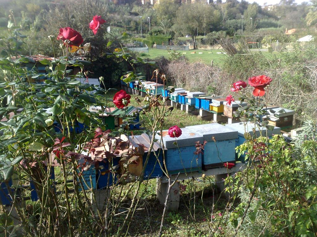B&B Il Giardino Di Gabri Roma Dış mekan fotoğraf