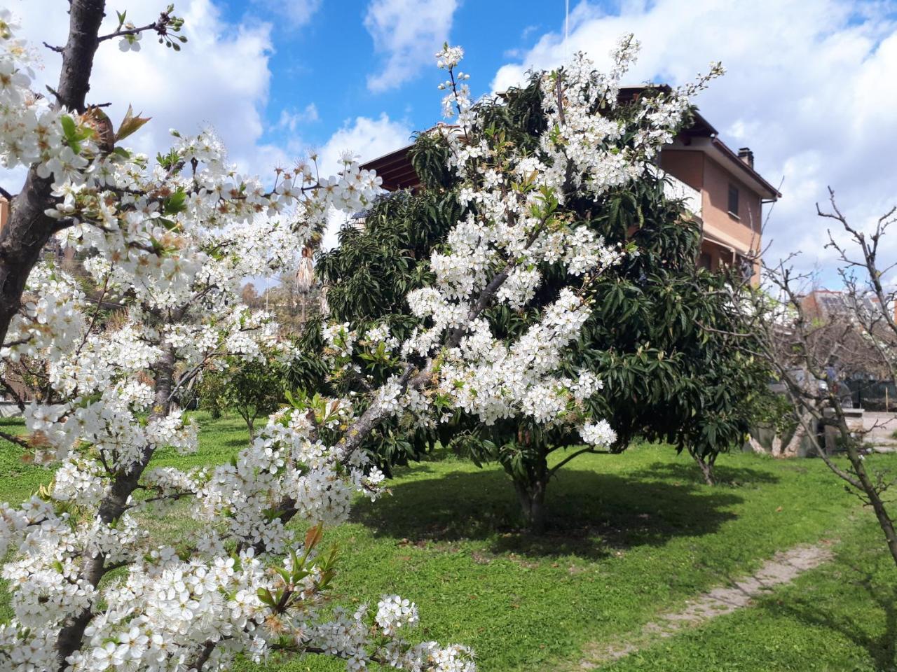 B&B Il Giardino Di Gabri Roma Dış mekan fotoğraf
