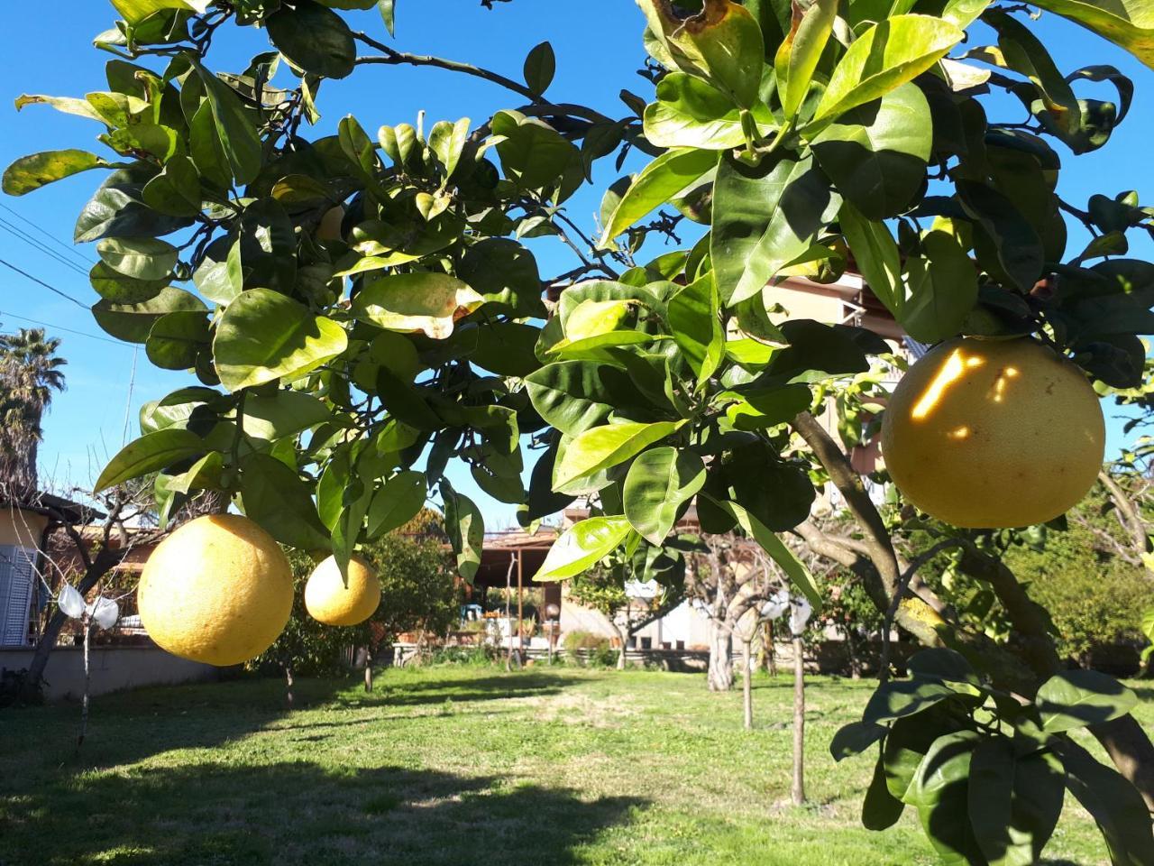 B&B Il Giardino Di Gabri Roma Dış mekan fotoğraf