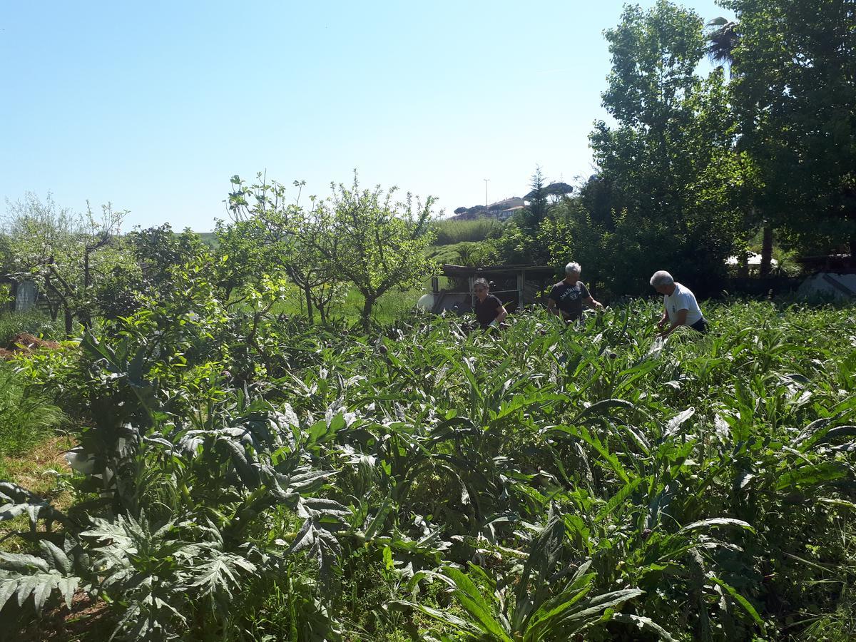B&B Il Giardino Di Gabri Roma Dış mekan fotoğraf