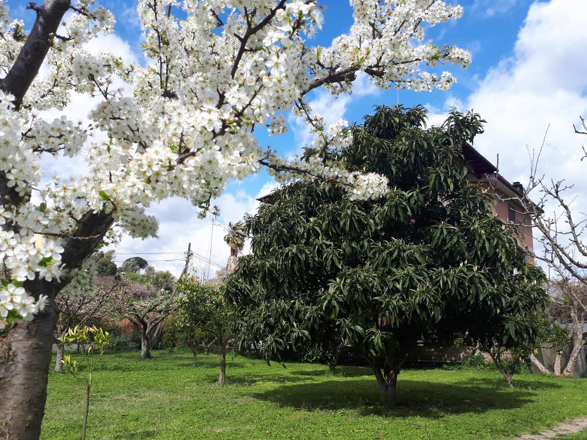 B&B Il Giardino Di Gabri Roma Dış mekan fotoğraf